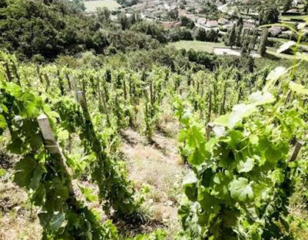 Domaines des Pierres Sèches